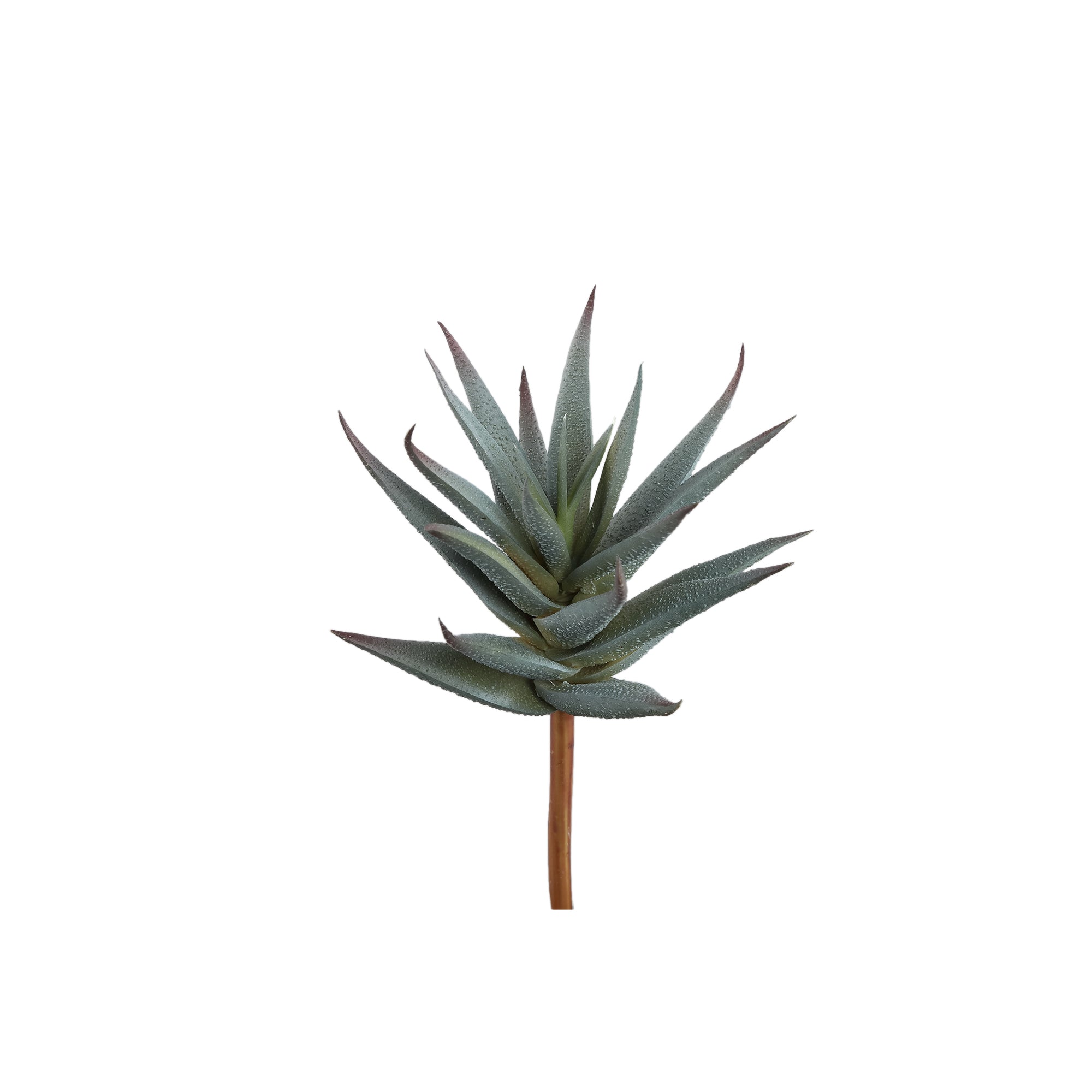Succulent Plant Green aloe pick Vert — Plante artificielle — Plante artificielle design premium | Häus