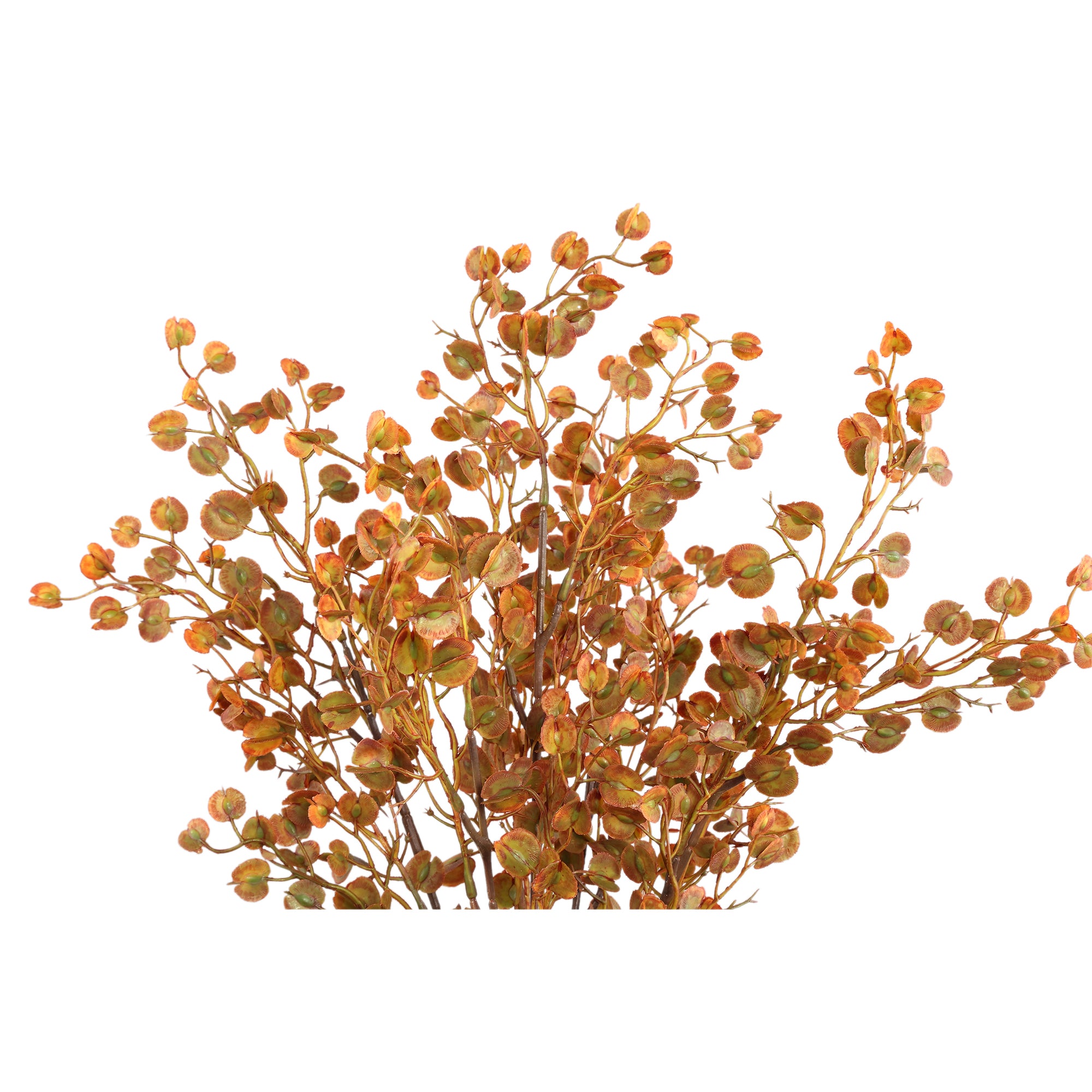 Leaves Plant Orange button leaves bush Orange — Feuille artificielle — vue 2 | Häus
