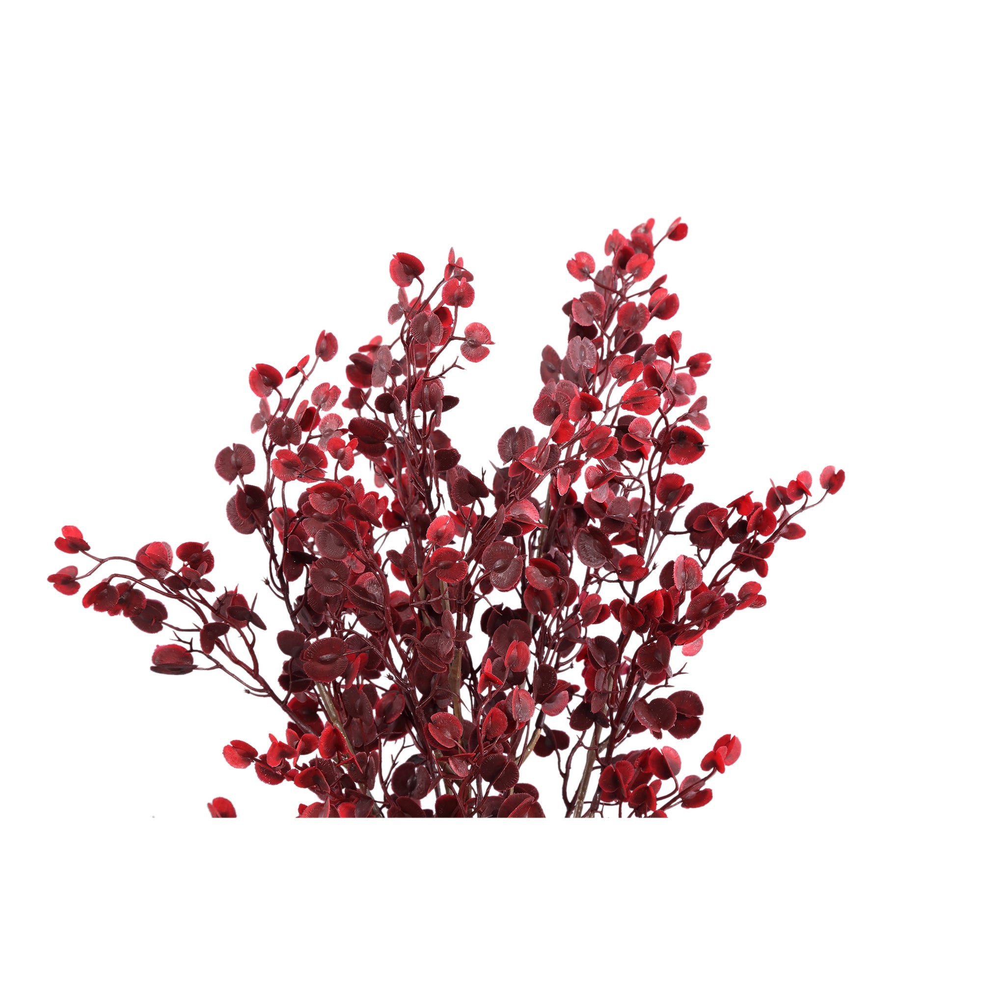 Leaves Plant Burgundy button leaves bush Bordeaux — Feuille artificielle — vue 2 | Häus