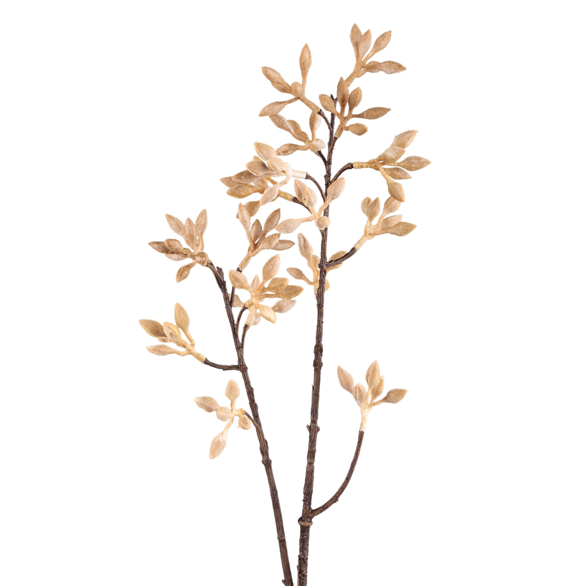 Twig Plant Beige firmiana simplex spray Beige — Branche artificielle — vue 2 | Häus