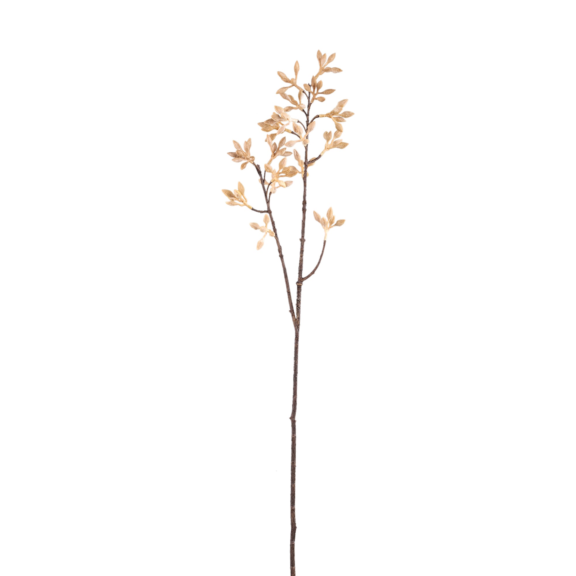 Twig Plant Beige firmiana simplex spray Beige — Branche artificielle — Branche artificielle design premium | Häus