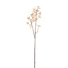 Twig Plant Beige firmiana simplex spray Beige — Branche artificielle — Branche artificielle design premium | Häus