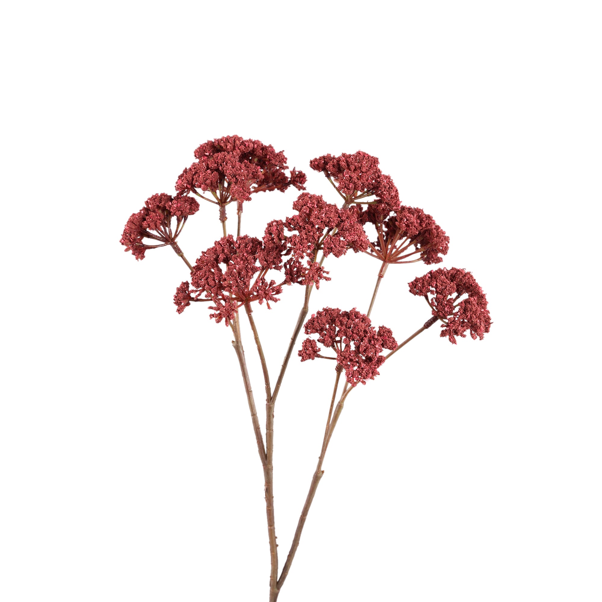 Twig Plant Burgundy fennel flower spray Bordeaux — Branche artificielle — vue 2 | Häus