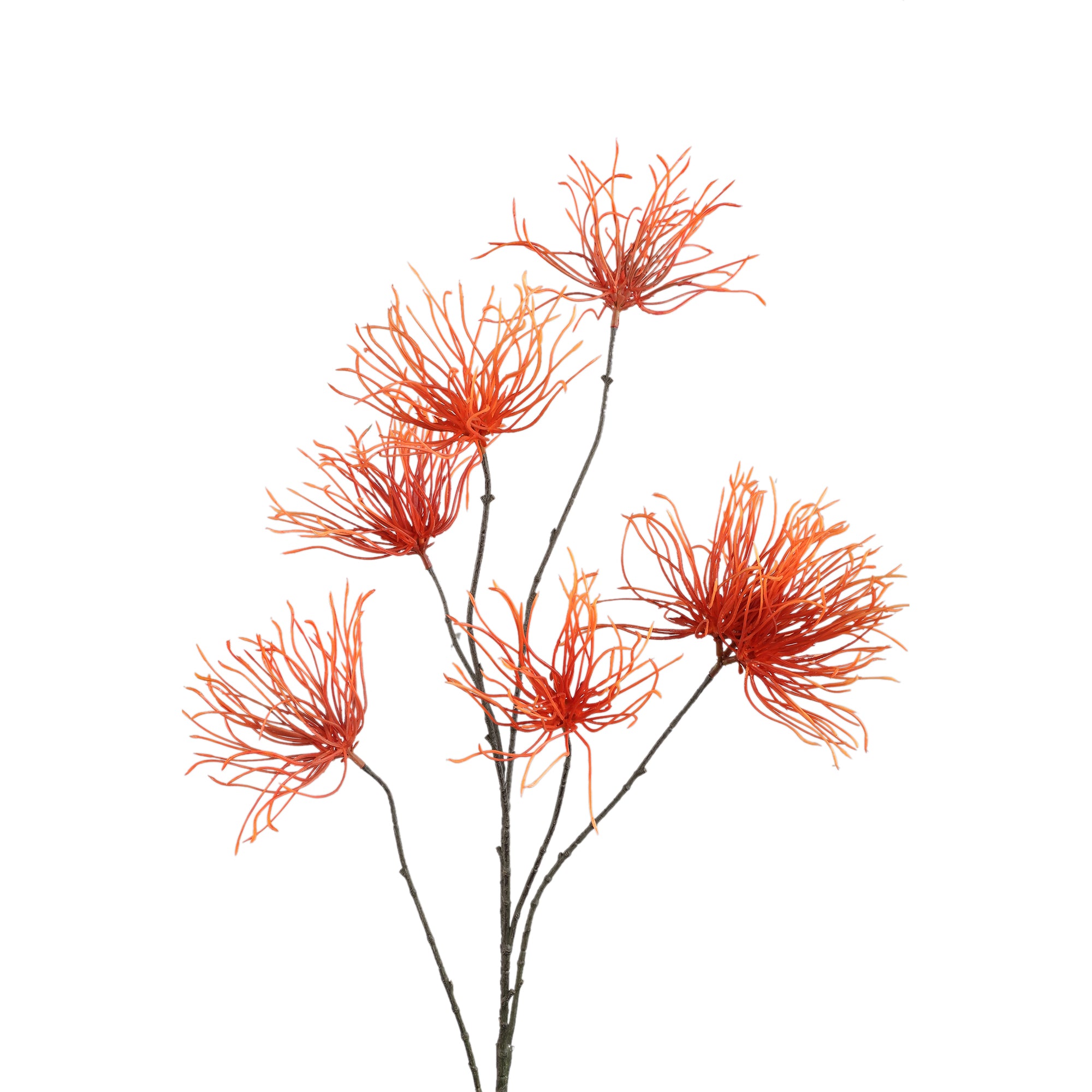 Twig Plant Orange grevillea flower spray Orange — Branche artificielle — vue 2 | Häus