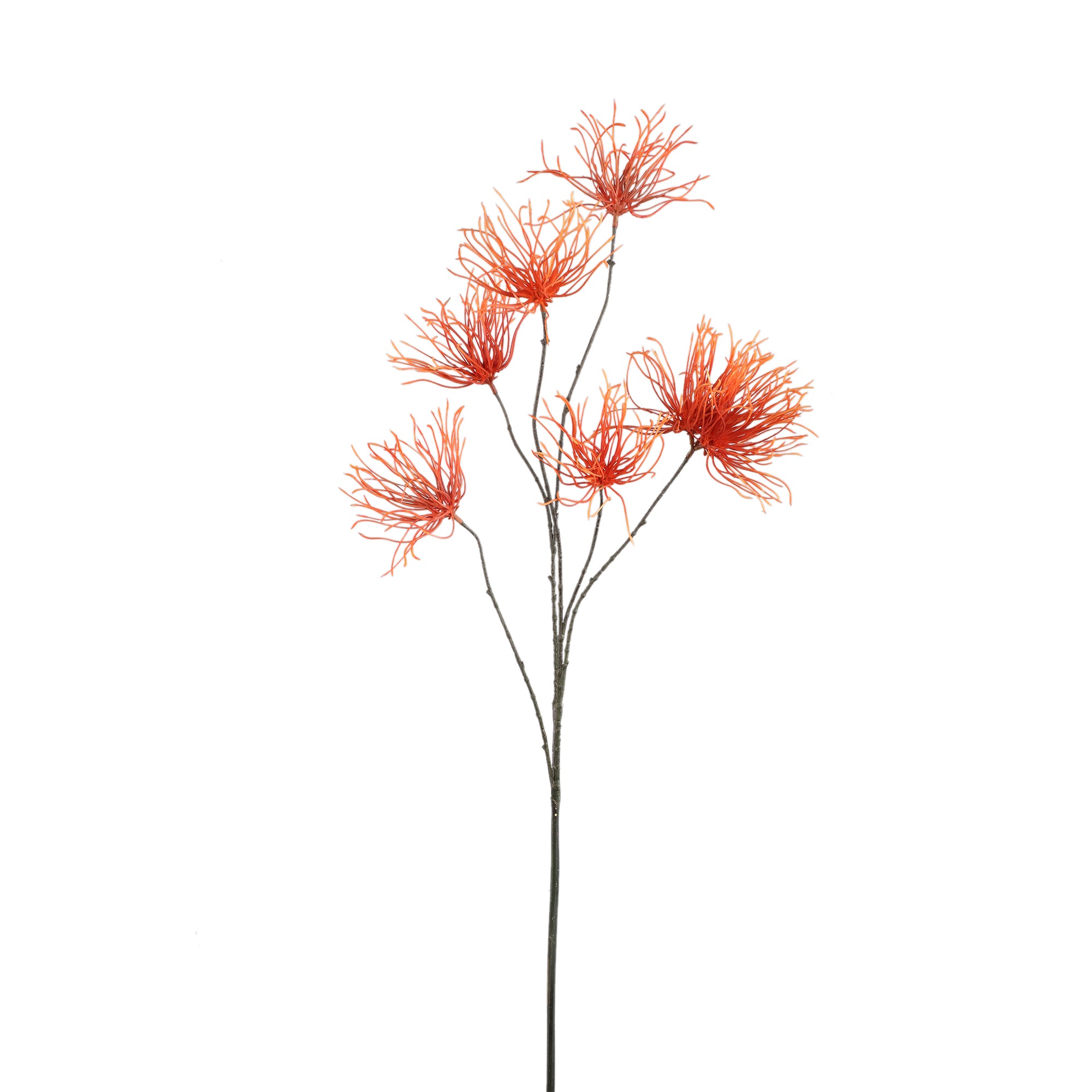 Twig Plant Orange grevillea flower spray Orange — Branche artificielle — Branche artificielle design premium | Häus