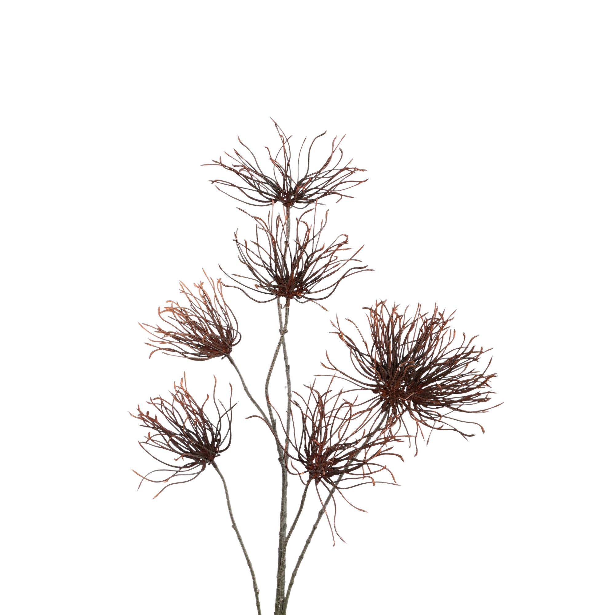 Twig Plant Brown grevillea flower spray Marron — Branche artificielle — vue 2 | Häus