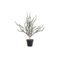 Feuille artificielle Herbe — Noir