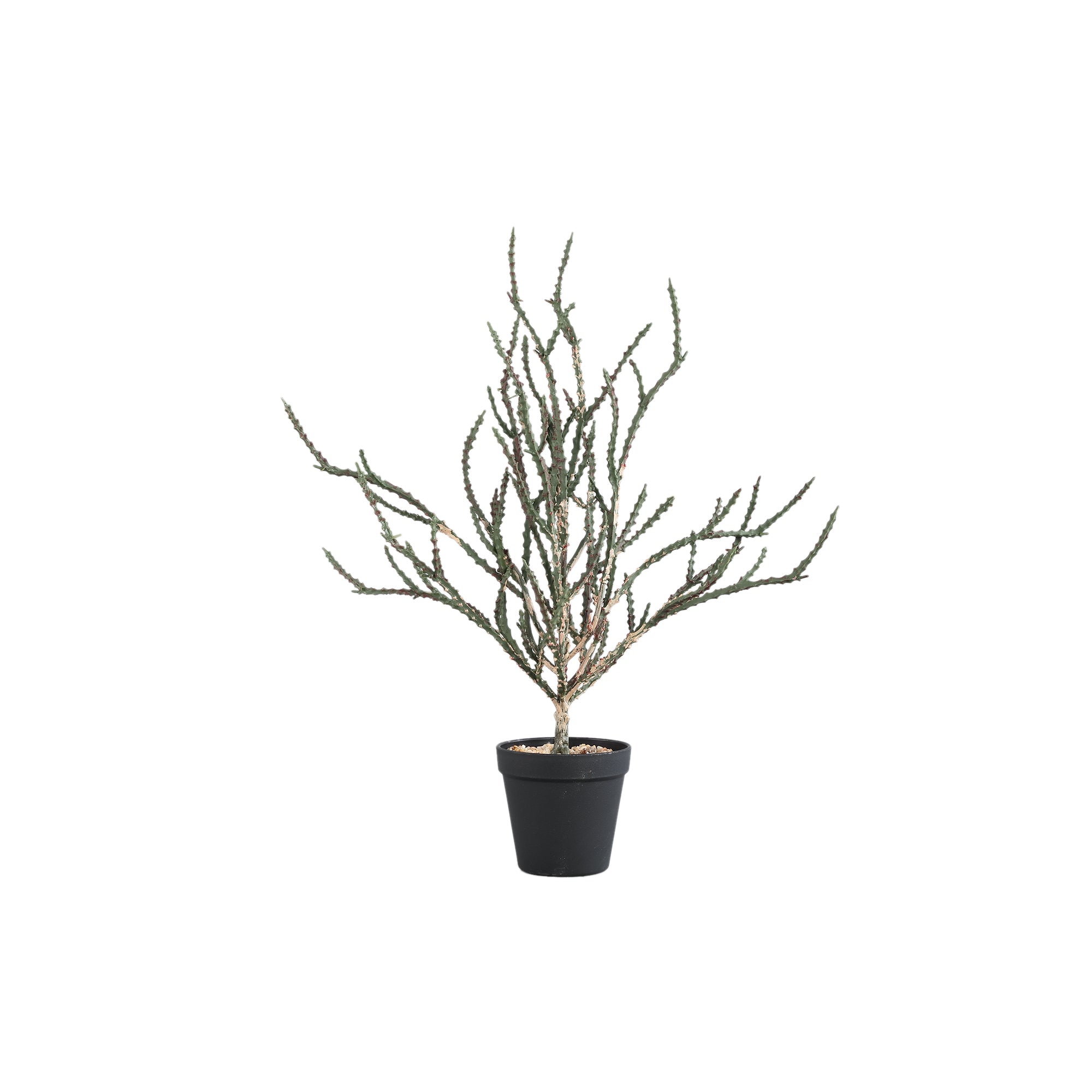 Leaves Plant Green grass sorghum in black pot Vert — Feuille artificielle — Feuille artificielle design premium | Häus