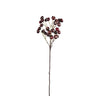 Berry Plant Burgundy berry spray Bordeaux — Branche artificielle — Branche artificielle design premium | Häus