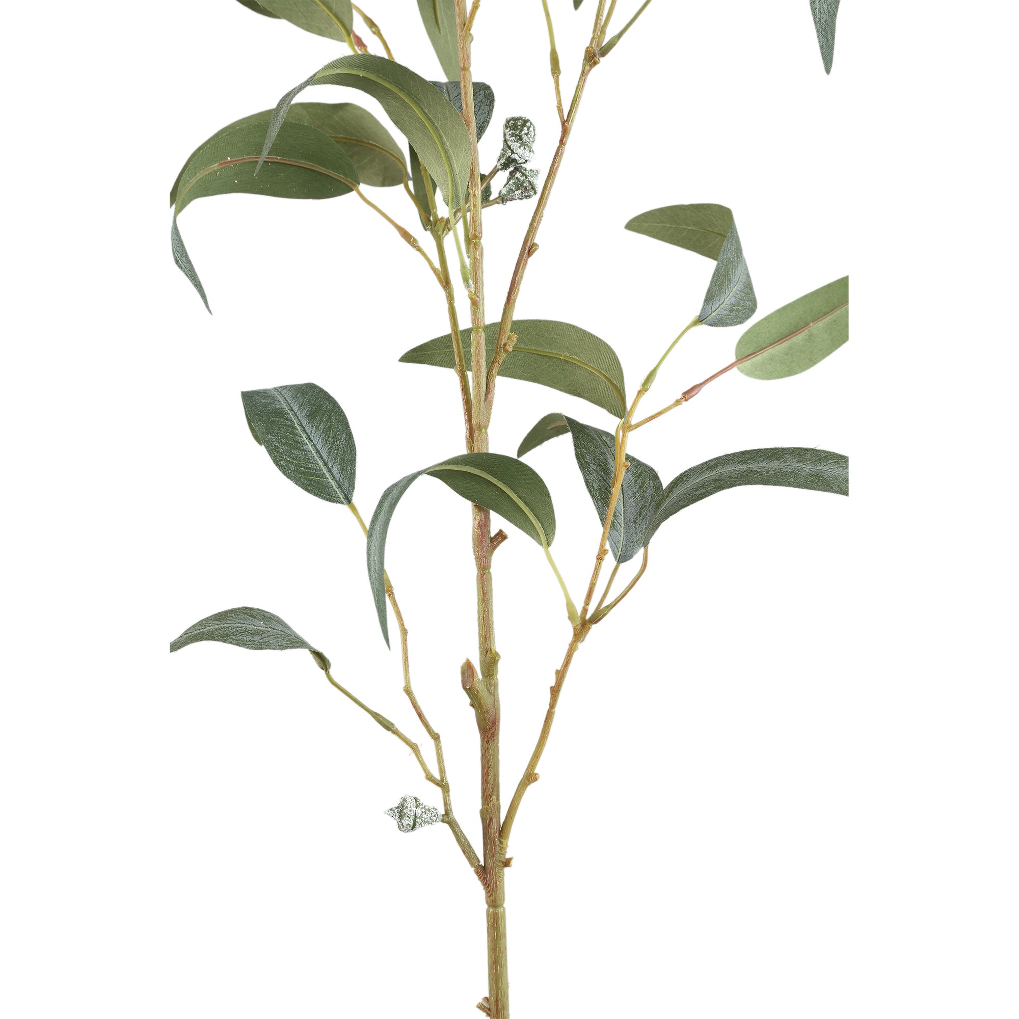 Leaves Plant Green eucalyptus spray w seeds long Vert — Feuille artificielle — vue 2 | Häus