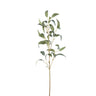 Leaves Plant Green eucalyptus spray w seeds long Vert — Feuille artificielle — Feuille artificielle design premium | Häus