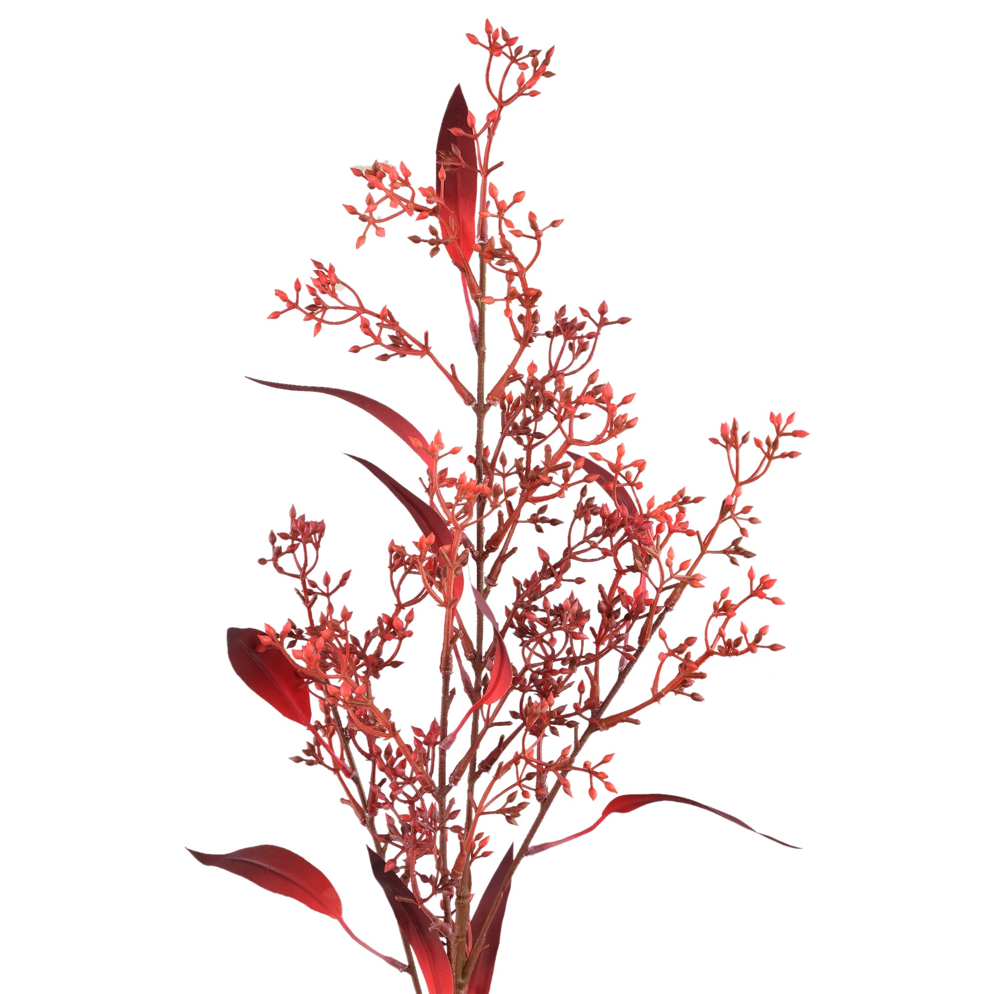Leaves Plant Burgundy eucalyptus spray with seeds Bordeaux — Feuille artificielle — vue 2 | Häus