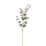 Feuille artificielle Eucalyptus — Vert