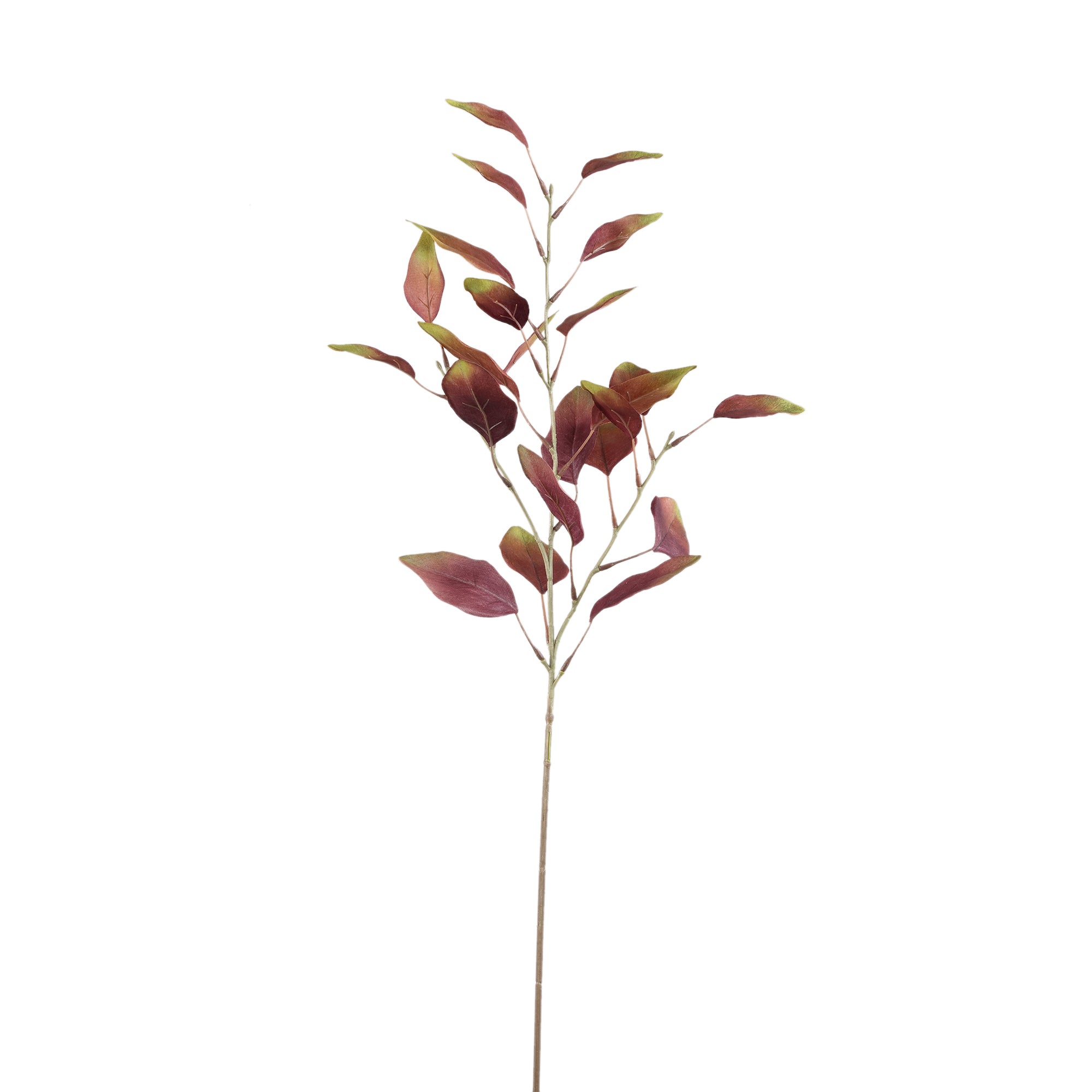 Leaves Plant Burgundy Green eucalyptus spray Bordeaux — Feuille artificielle — Feuille artificielle design premium | Häus
