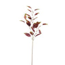 Leaves Plant Burgundy Green eucalyptus spray Bordeaux — Feuille artificielle — Feuille artificielle design premium | Häus