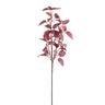 Leaves Plant Burgundy euphorbia leaf spray Bordeaux — Feuille artificielle — Feuille artificielle design premium | Häus