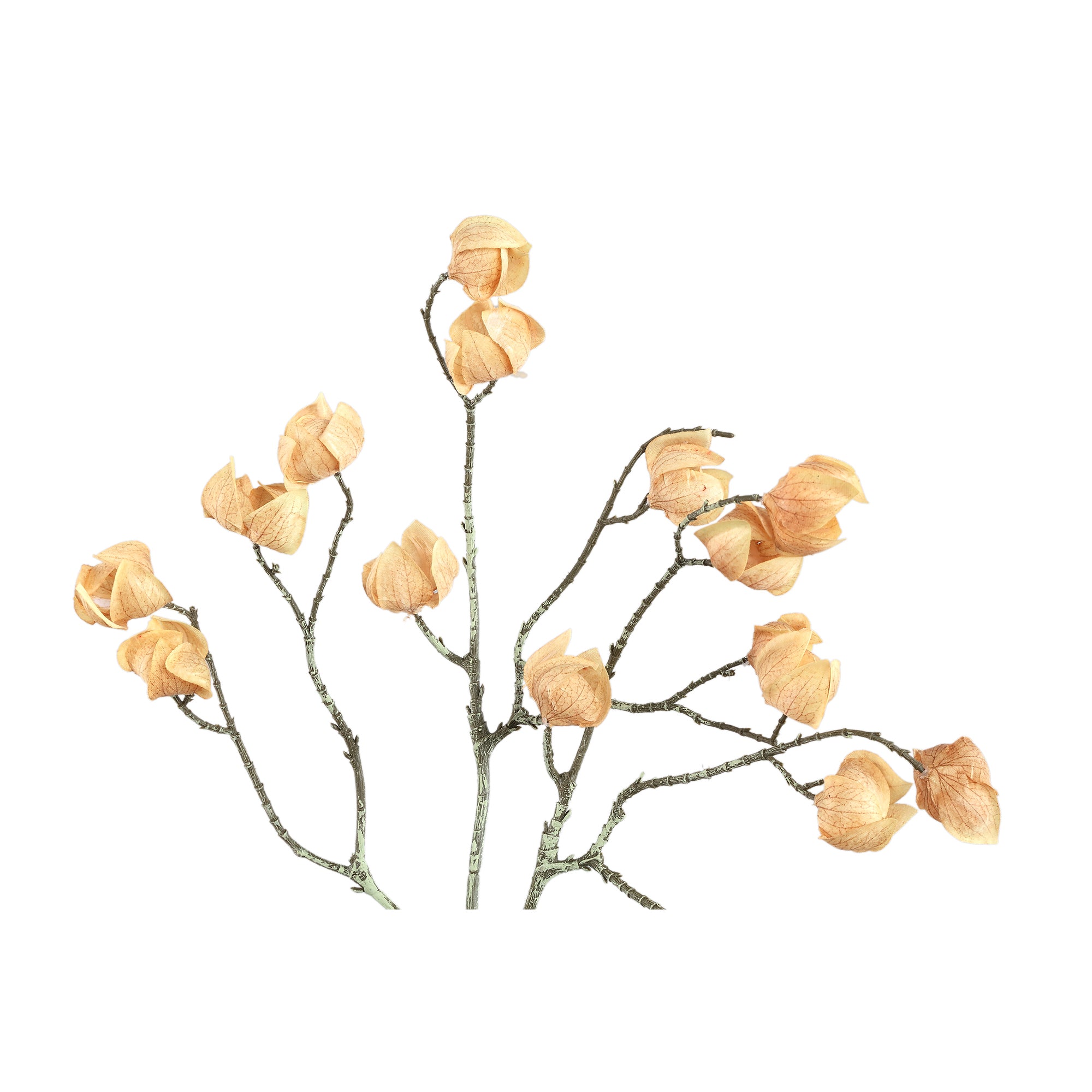 Twig Plant Beige lantern spray Beige — Branche artificielle — vue 2 | Häus