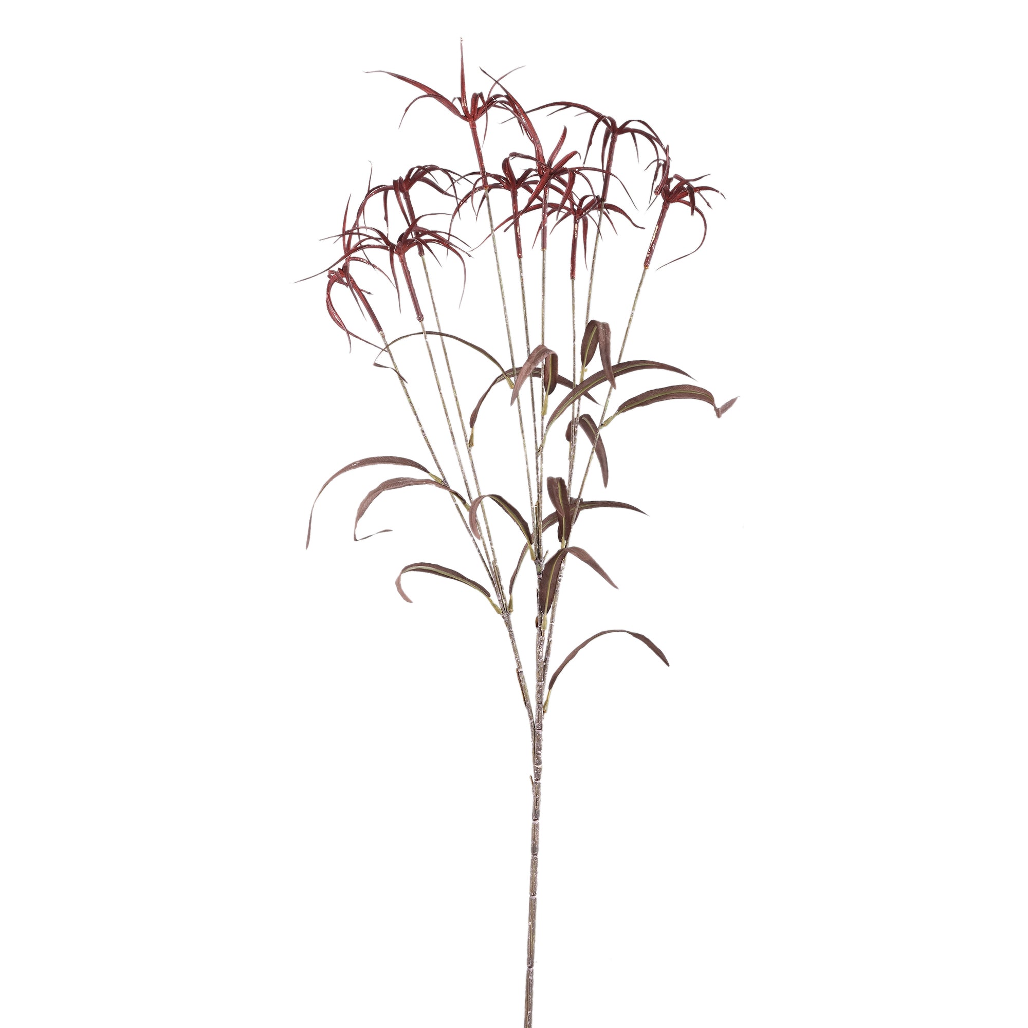 Bamboo Leafs Burgundy umbrella bamboo spray Bordeaux — Feuille artificielle — Feuille artificielle design premium | Häus