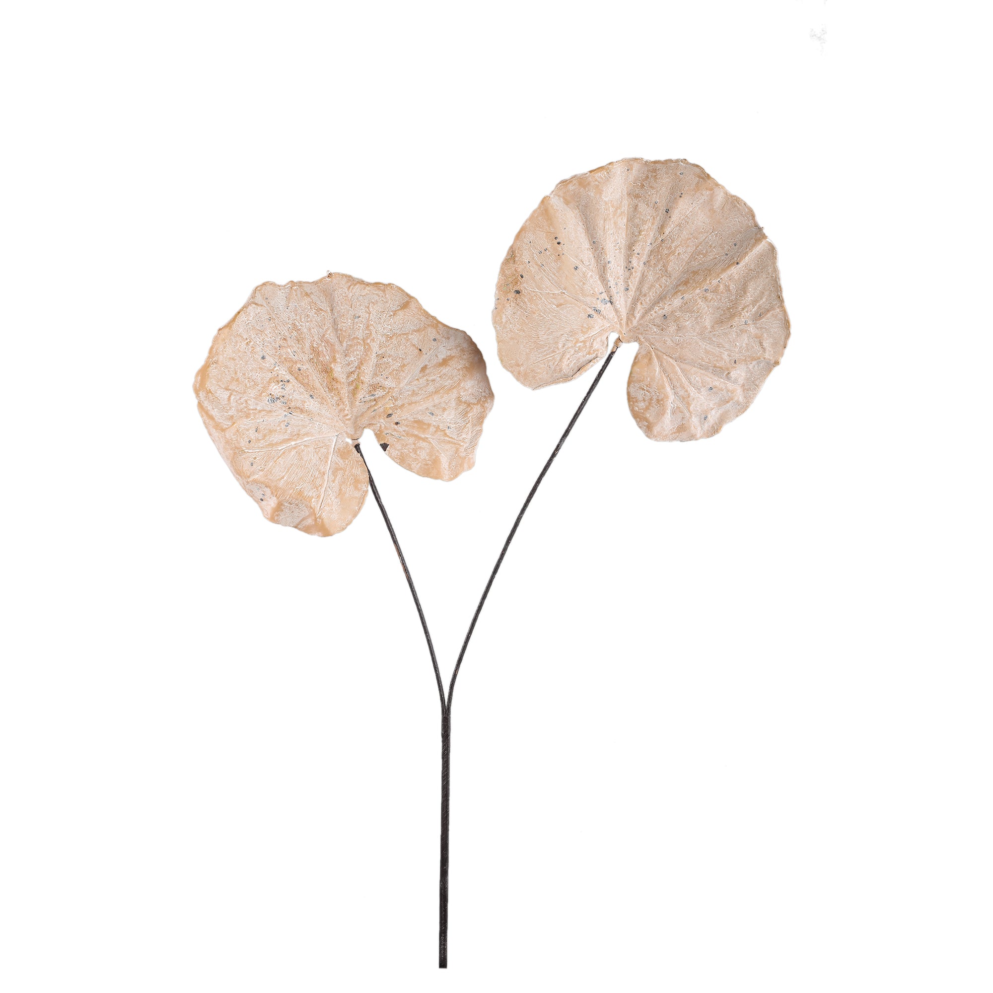 Leaves Plant Cream monstera leaf spray Crème — Feuille artificielle — Feuille artificielle design premium | Häus