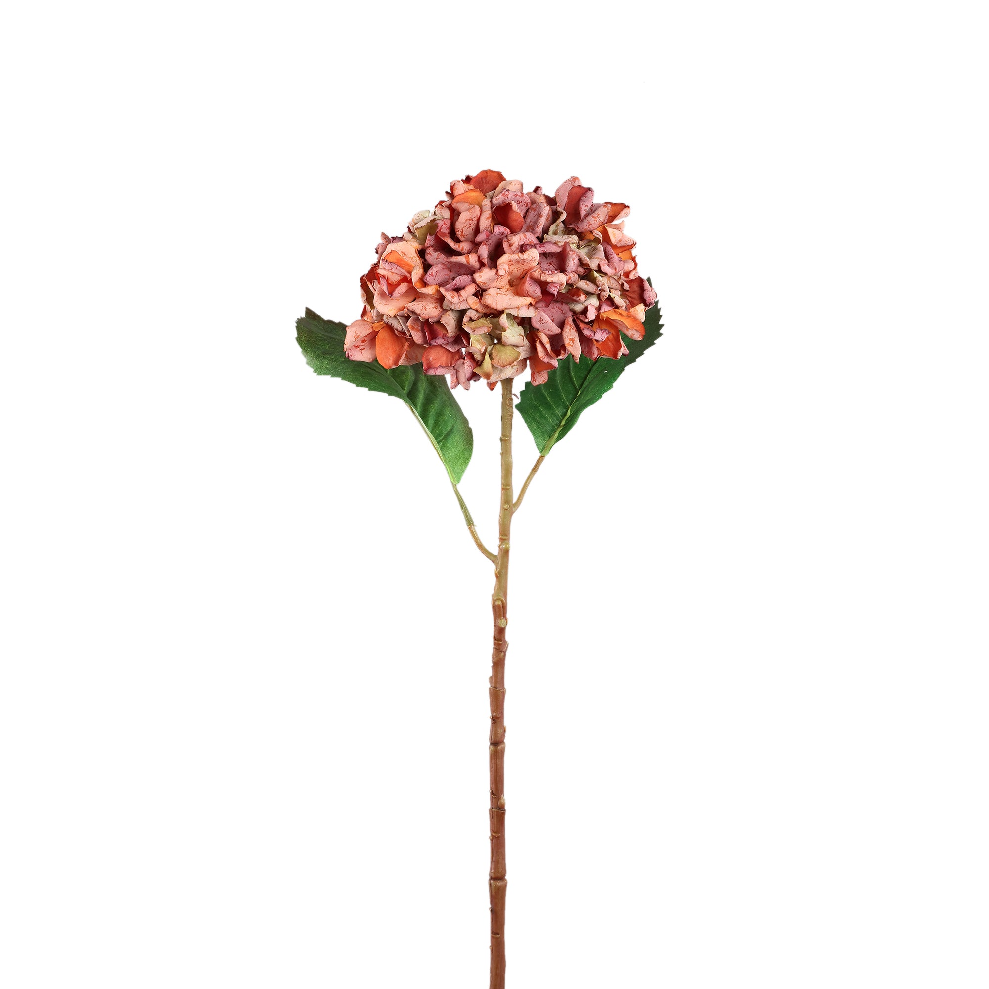 Hydrangea Flower Rust hydrangea stem large Orange — Fleur artificielle — Fleur artificielle design premium | Häus