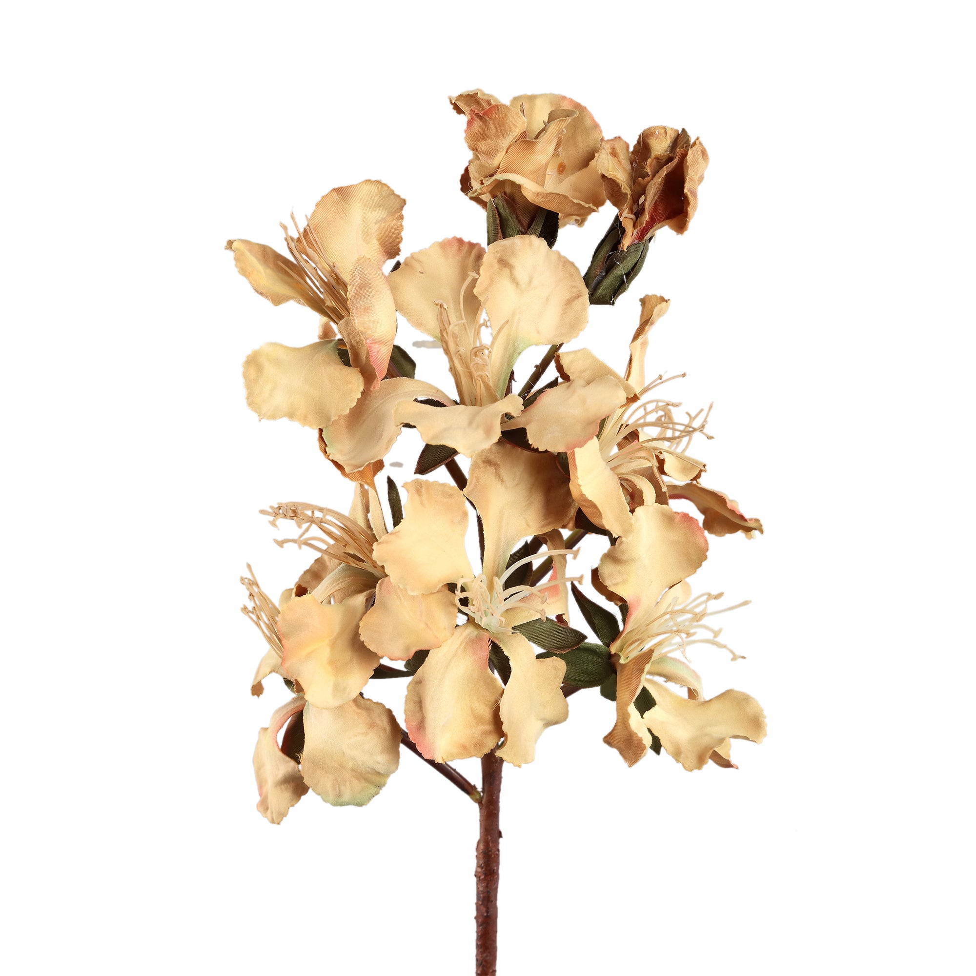 Lily Flower Light Brown Peruvian lily Light Brown — Fleur artificielle — vue 2 | Häus