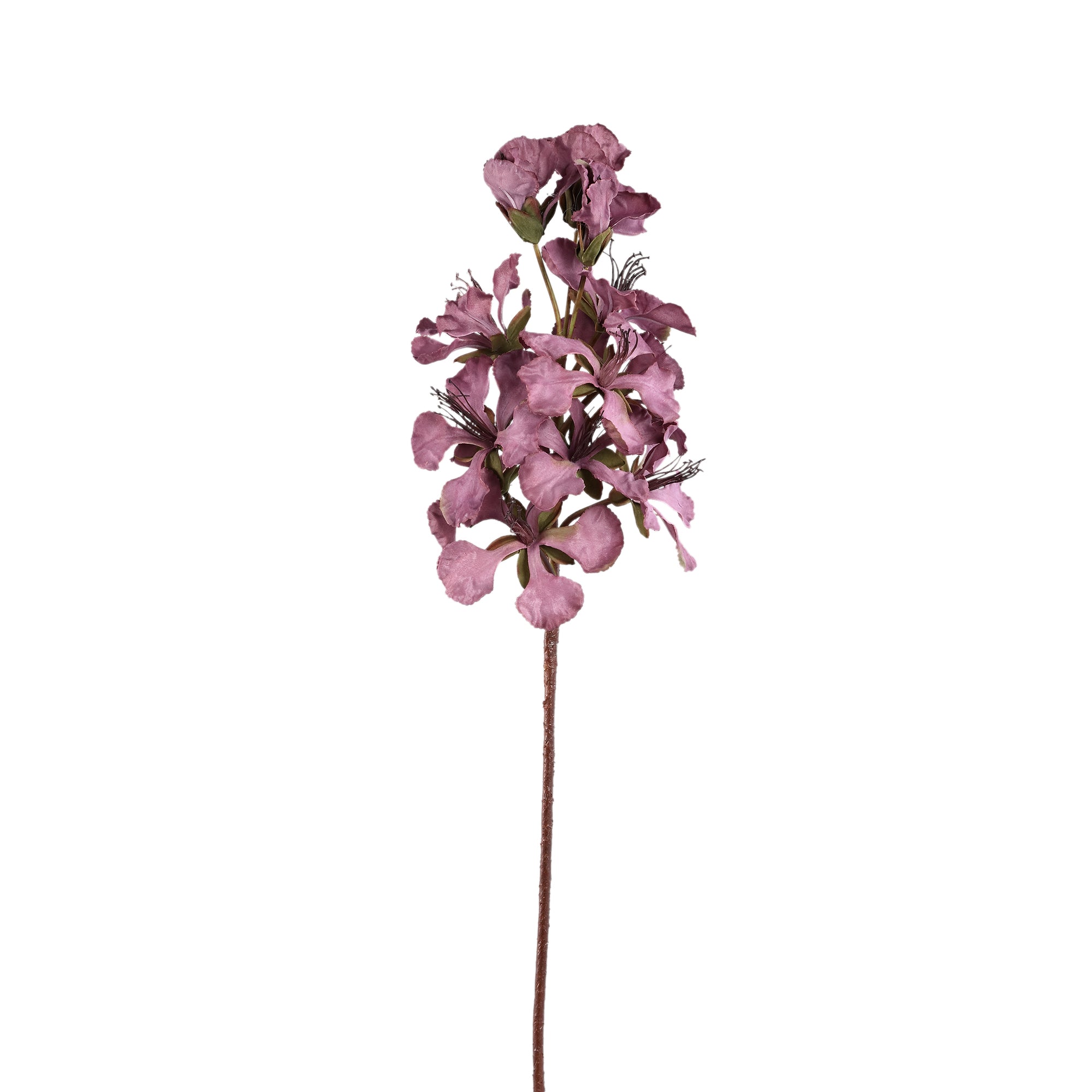 Lily Flower Lilac Peruvian lily Lilac — Fleur artificielle — Fleur artificielle design premium | Häus