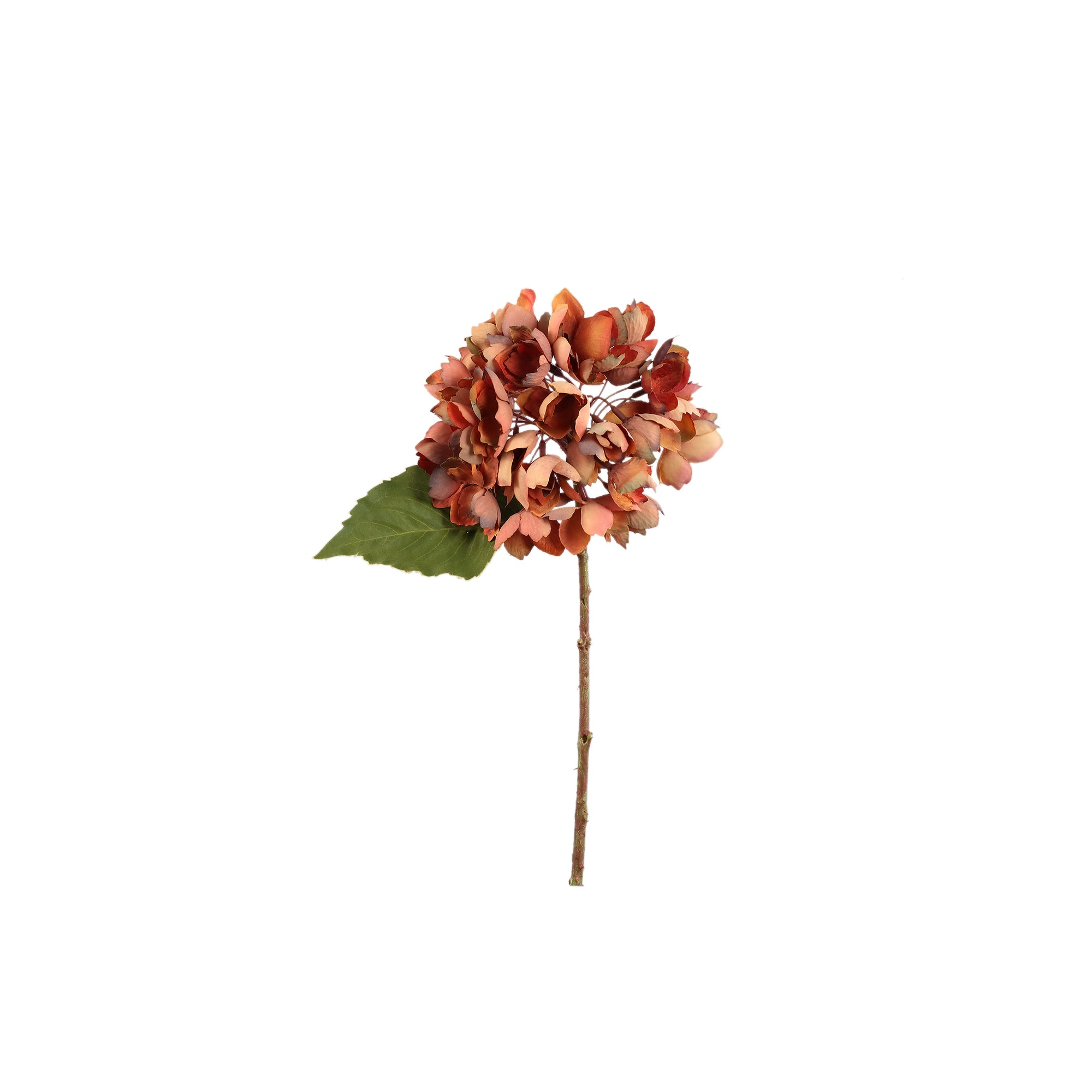 Hydrangea Flower Rust hydrangea stem small Rouille — Fleur artificielle — Fleur artificielle design premium | Häus