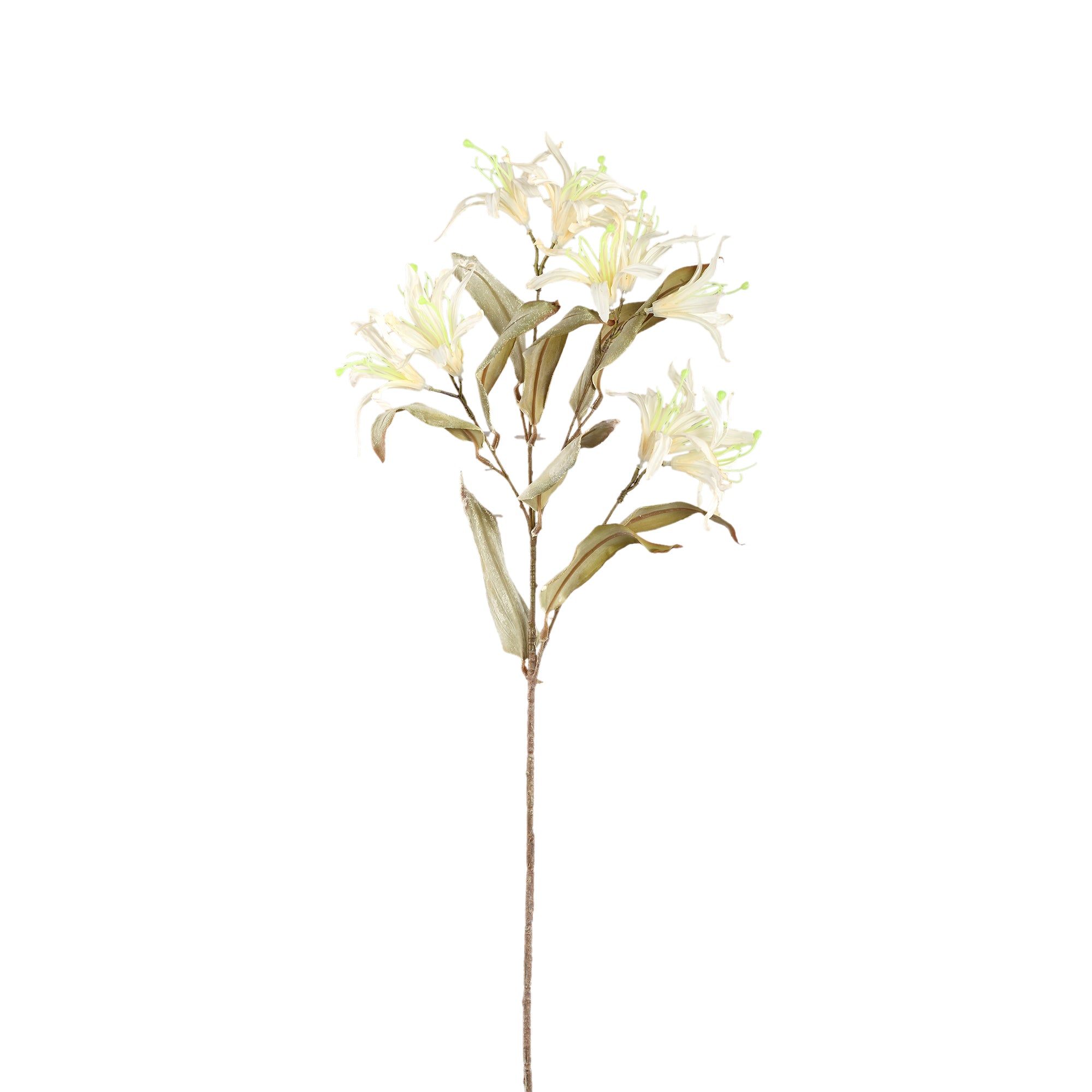 Garden Flower Natural bauhinia spray Naturel — Fleur artificielle — Fleur artificielle design premium | Häus