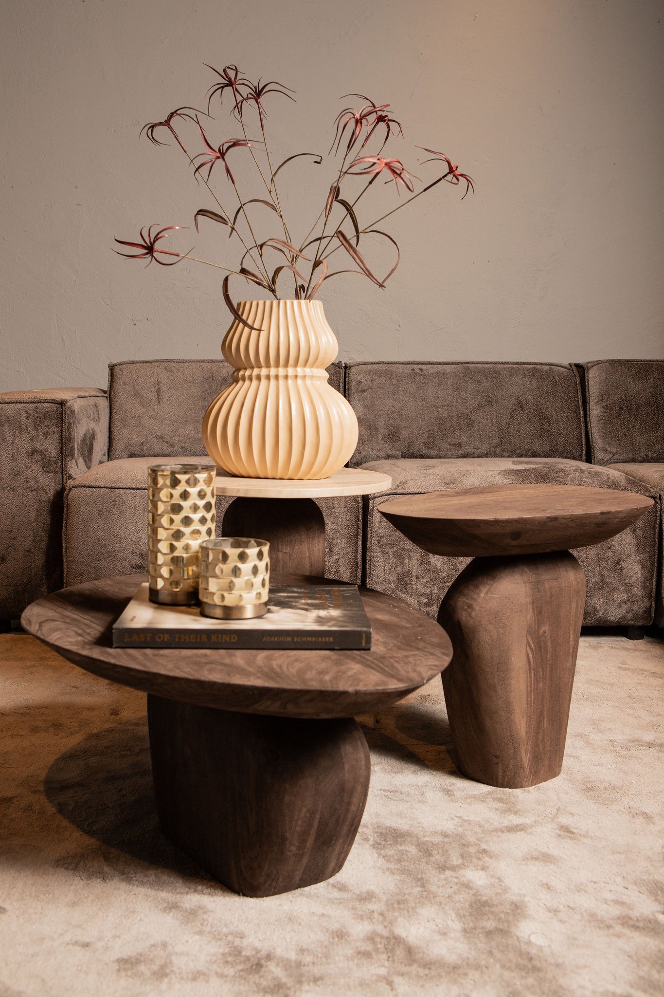 Harshad Brown mango wood coffee table organic - Photo 6