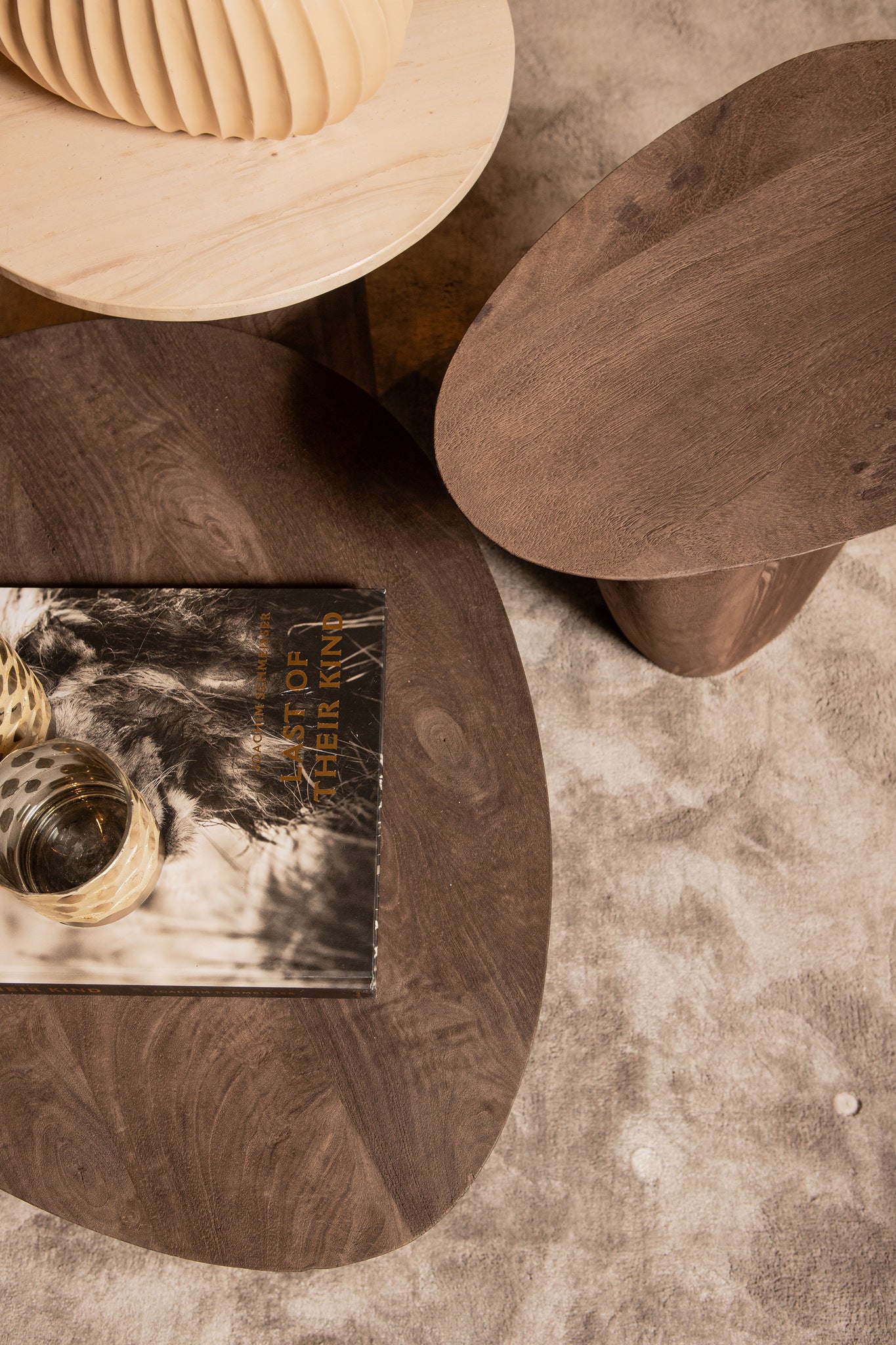 Harshad Brown mango wood coffee table organic - Photo 5