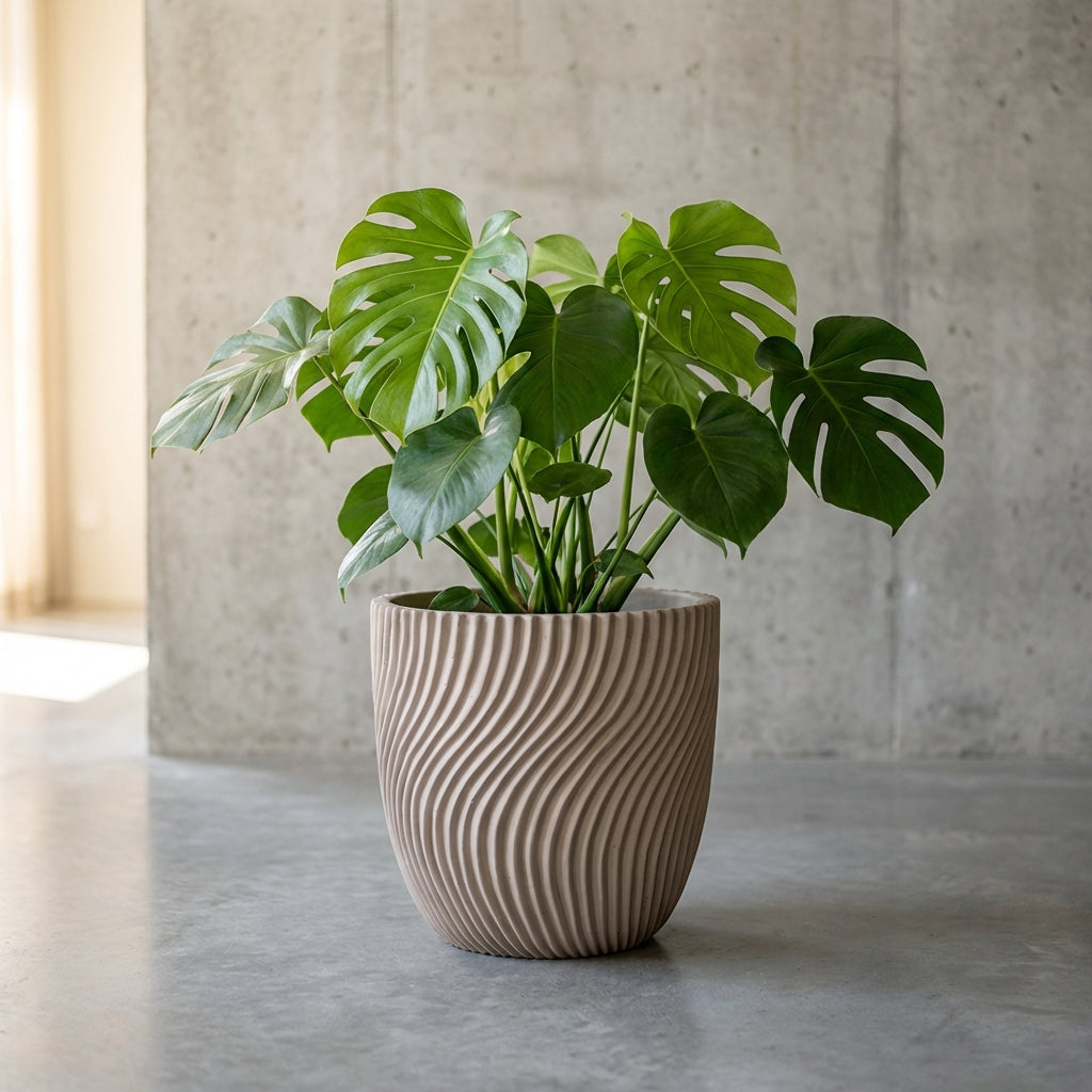 Lianna Pot en ciment - Beige