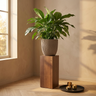 Pot Lianna — Ciment — Photo lifestyle