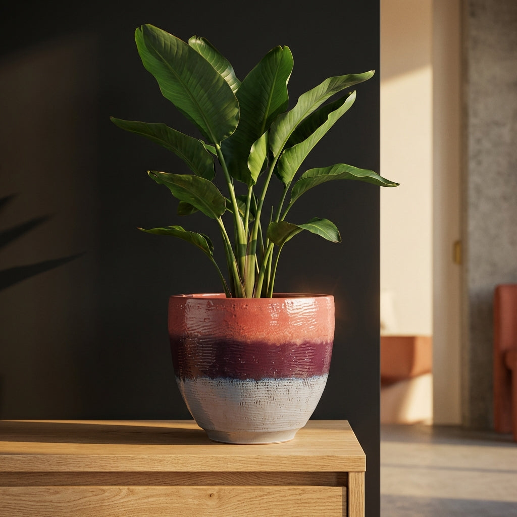 Elana Pot en céramique - Violet