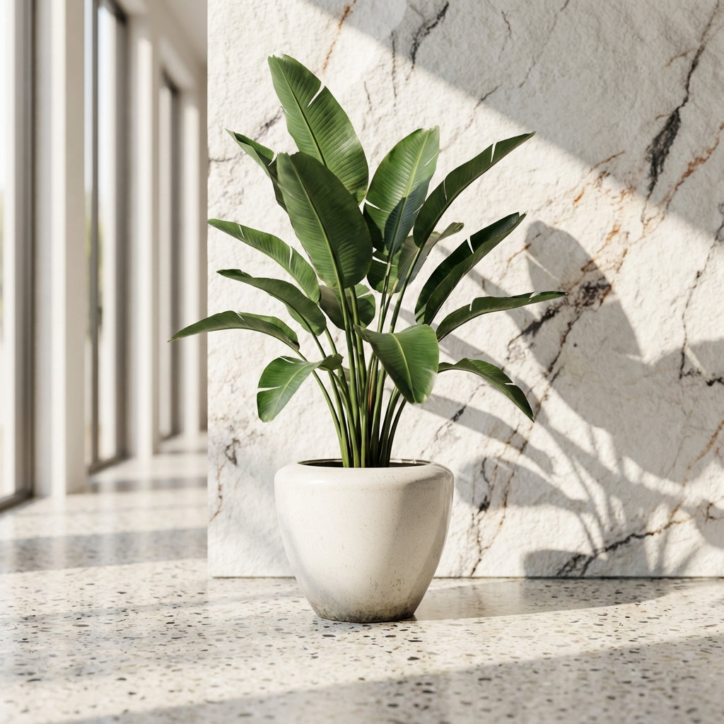 Kyleigh Pot en céramique - Beige