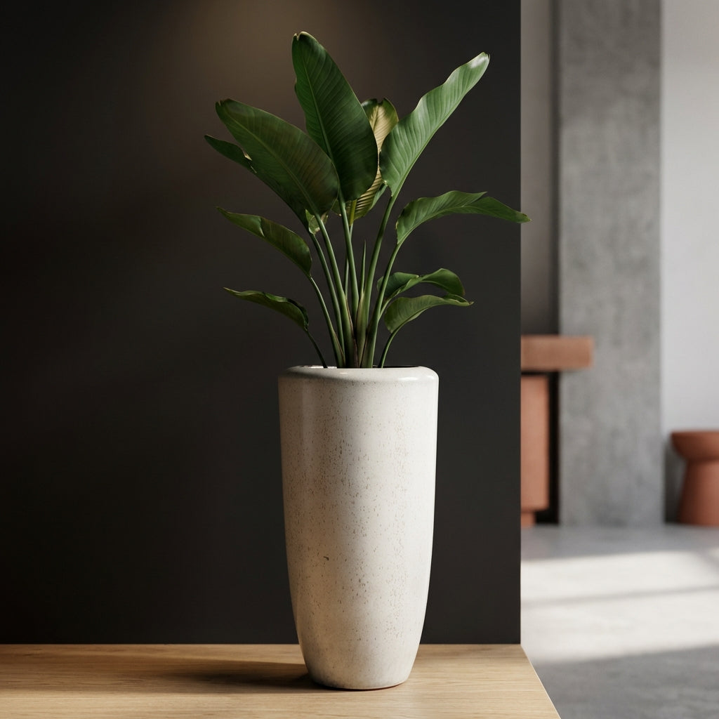 Kyleigh Pot en céramique - Beige