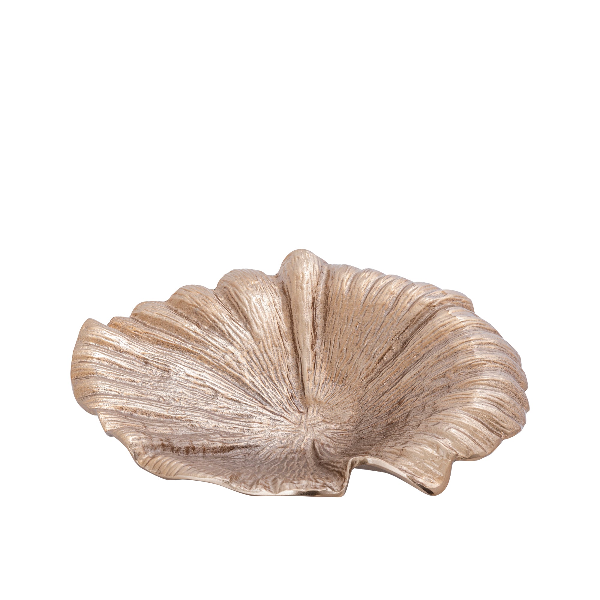 Bol Losh — Métal — Ambiance