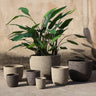 Pot Delsey — Ciment — Set de 4 — Marron