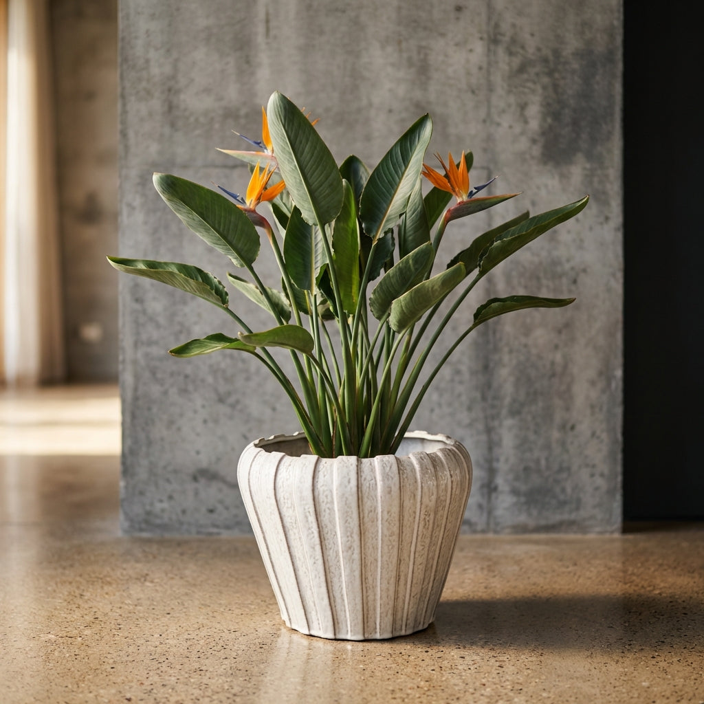 Mirei Pot en céramique - Blanc