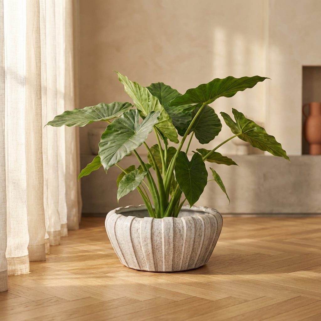 Mirei Pot en céramique - Blanc