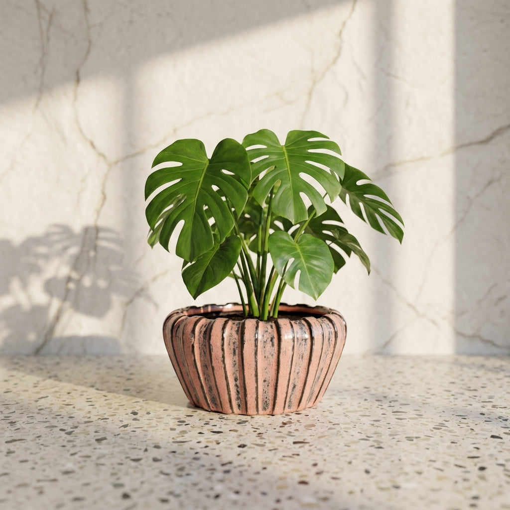 Mirei Pot en céramique - Rose