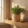 Pot Linae — Ciment — Photo lifestyle