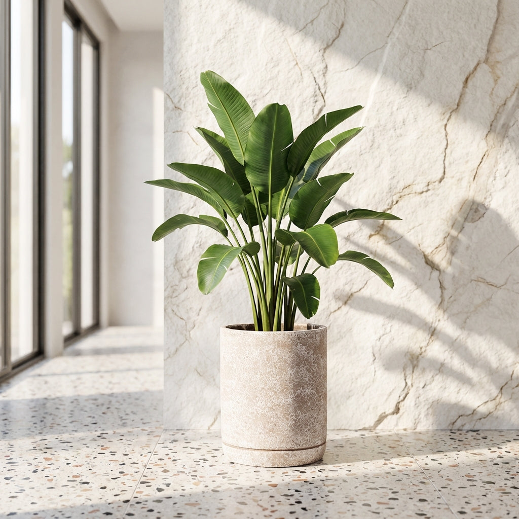 Asten Pot en ciment - Crème