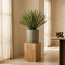 Pot Asten — Ciment — Photo lifestyle