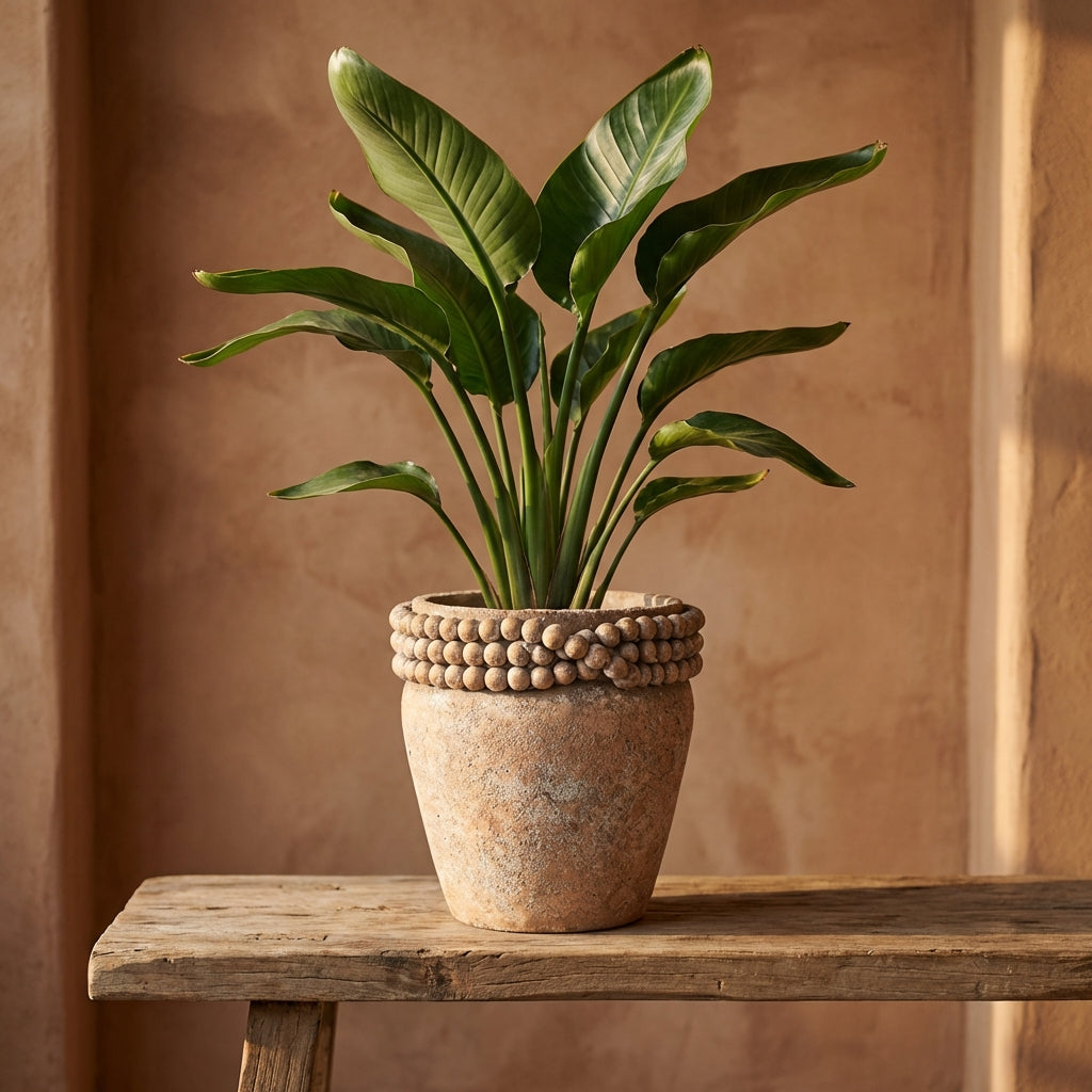 Rydel Pot en ciment - Default Title