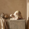 Zanya Cream turtle shape cement statue w flowers S