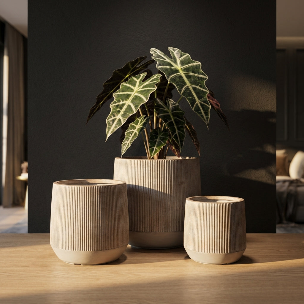 Olav Pot en plastique - Default Title