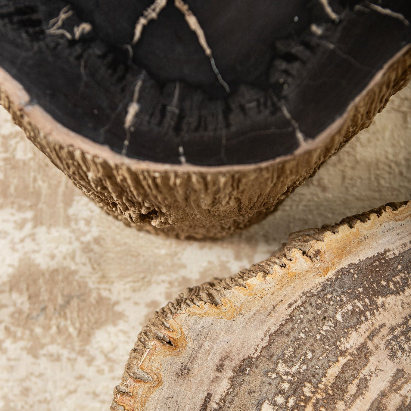 Taly Natural petrified coffeetable fiberglass S - Photo 10