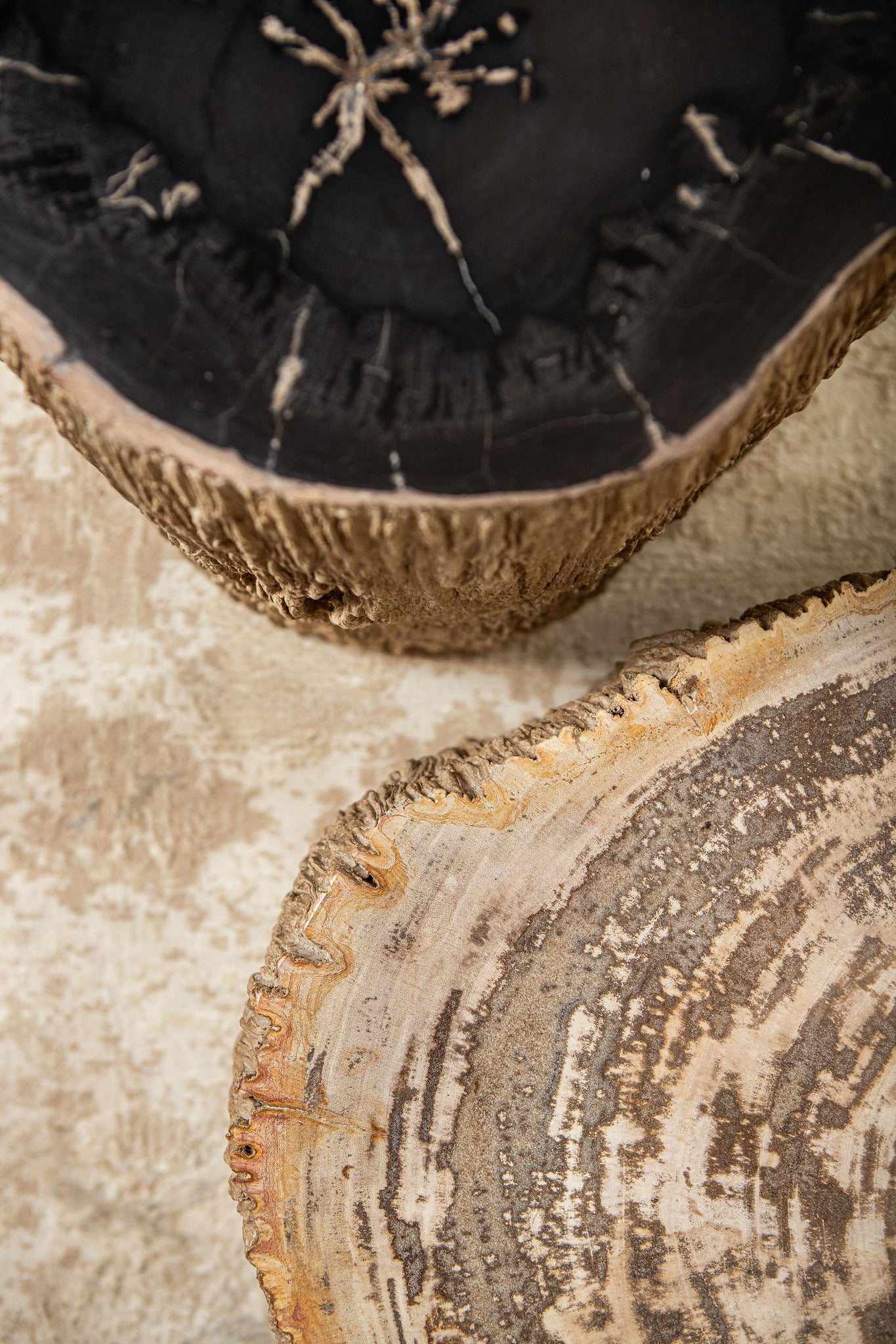 Taly Natural petrified wood round stool fiberglass - Photo 7
