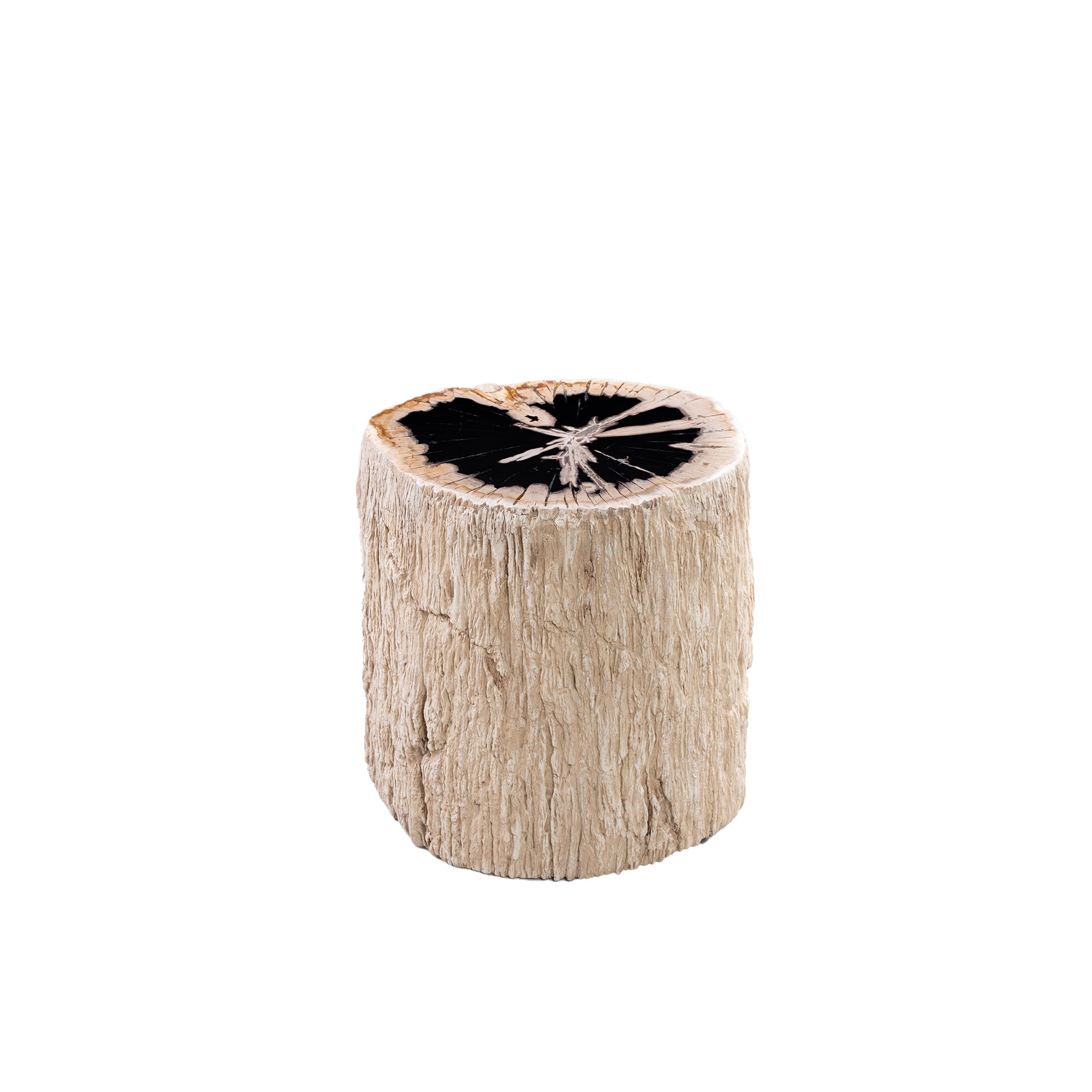 Taly Natural petrified wood round stool fiberglass - Photo 8