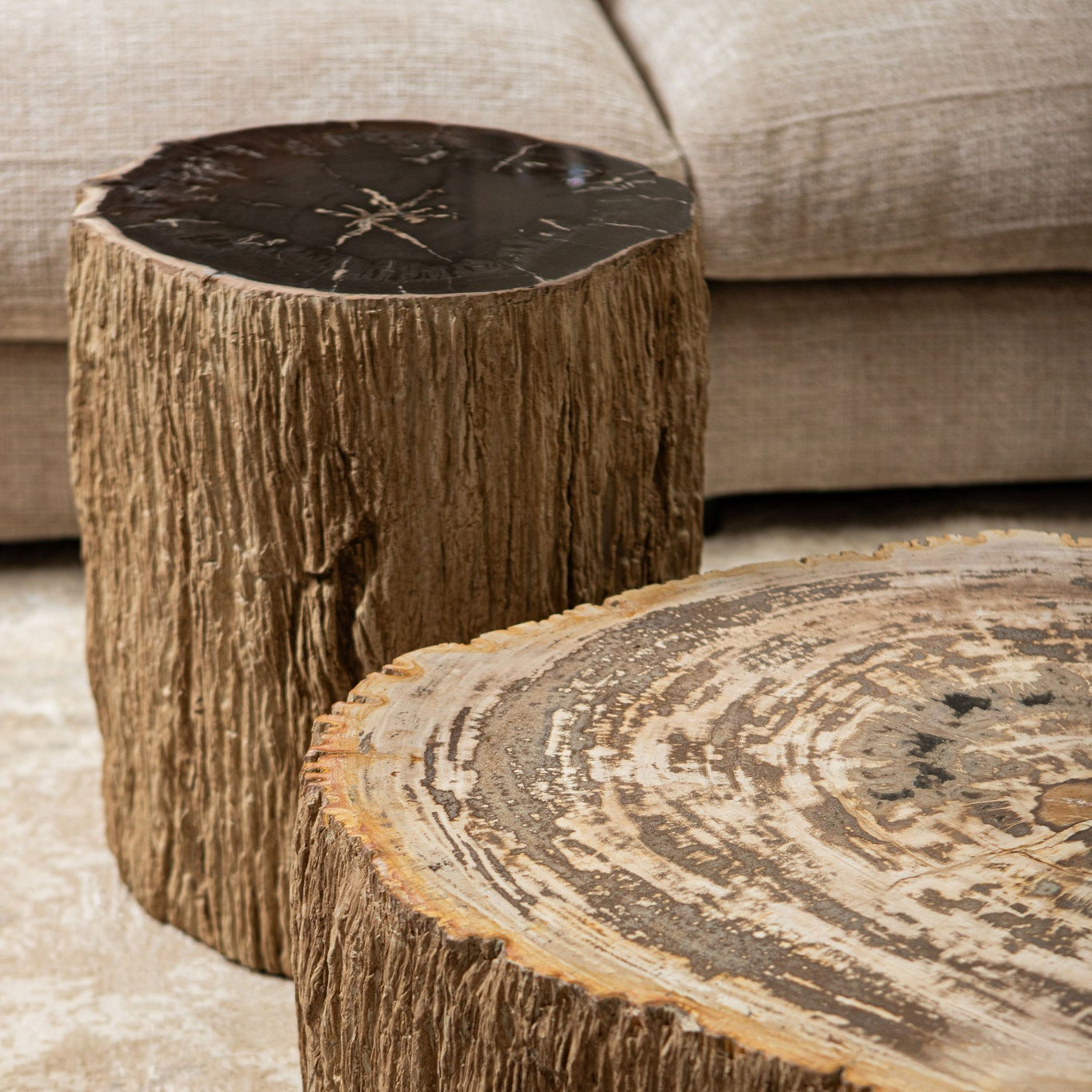 Taly Natural petrified coffeetable fiberglass S - Photo 7